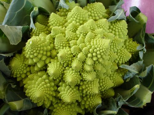 romanesco1024